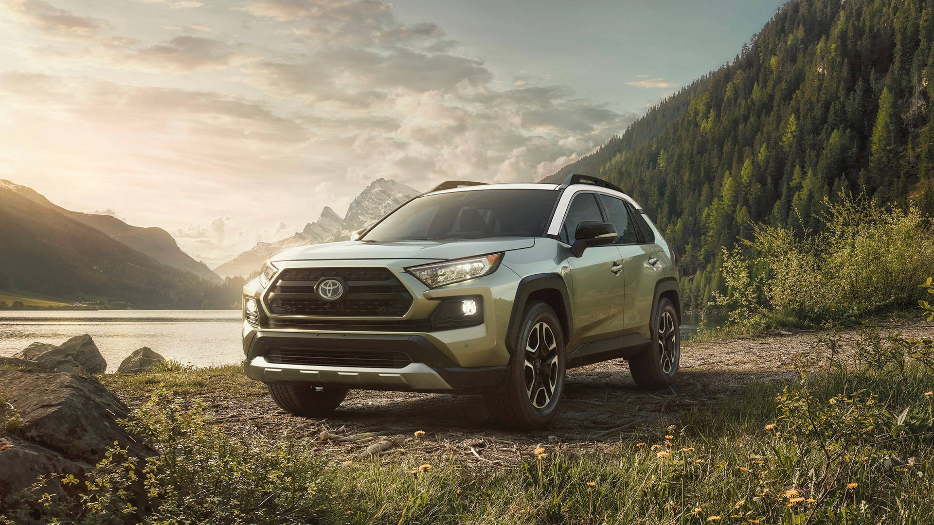 2019 Toyota RAV4 front silver
