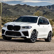 X5 M
