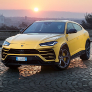 Urus