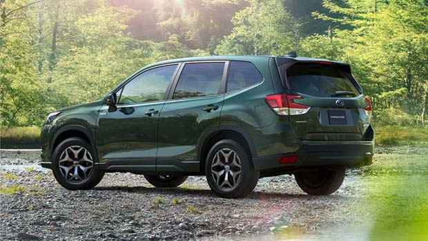Subaru Forester 2022 rear