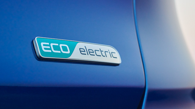 Kia Niro EV 2022 Badge