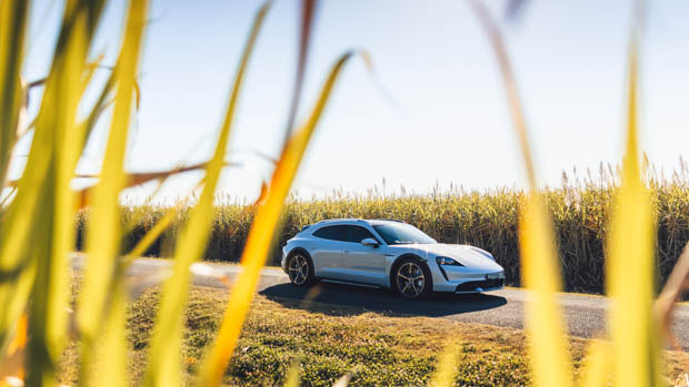 Porsche Taycan Cross Turismo 2022 cane field