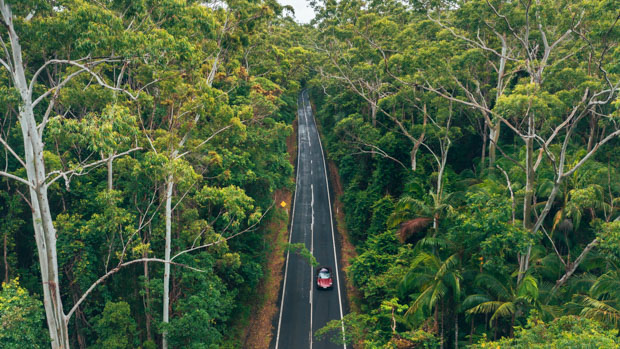 Porsche Taycan 2022-1