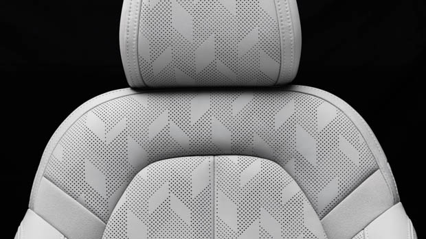 Polestar 2 2023 leather trim interior