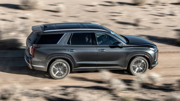 Hyundai Palisade 2023 side above