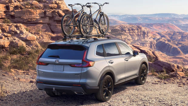 Honda CR-V 2023 rear view