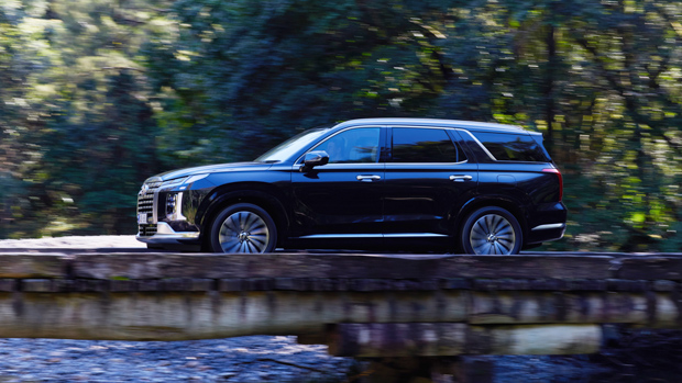 Hyundai Palisade 2022 side