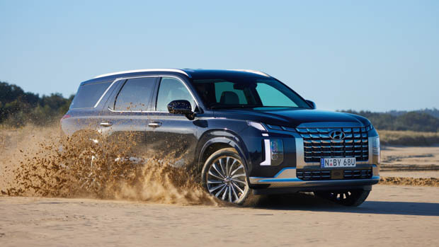 Hyundai Palisade 2022 flicking sand