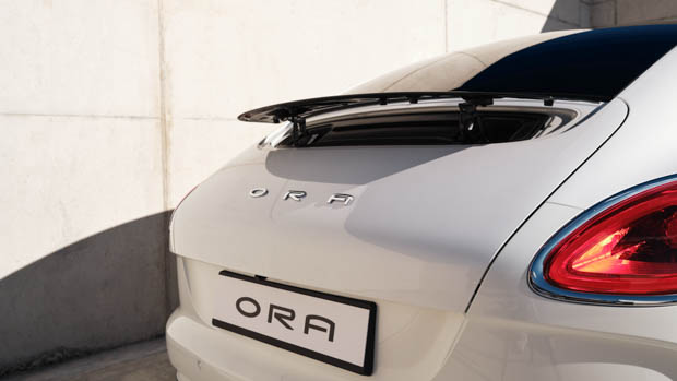 GWM Next Ora Cat 2022 rear wing