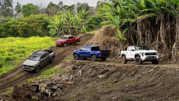 2023 Toyota Tacoma group