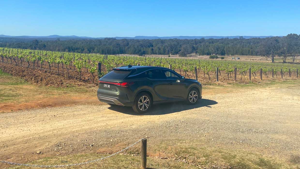 Lexus RX 350h Luxury LT 2023 Hunter Valley rear