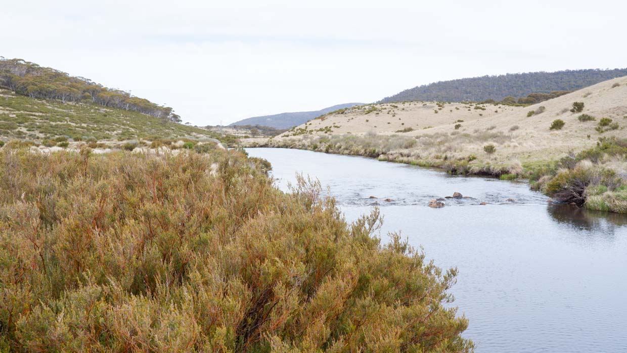 Nissan X-Trail LT 2023 SM view