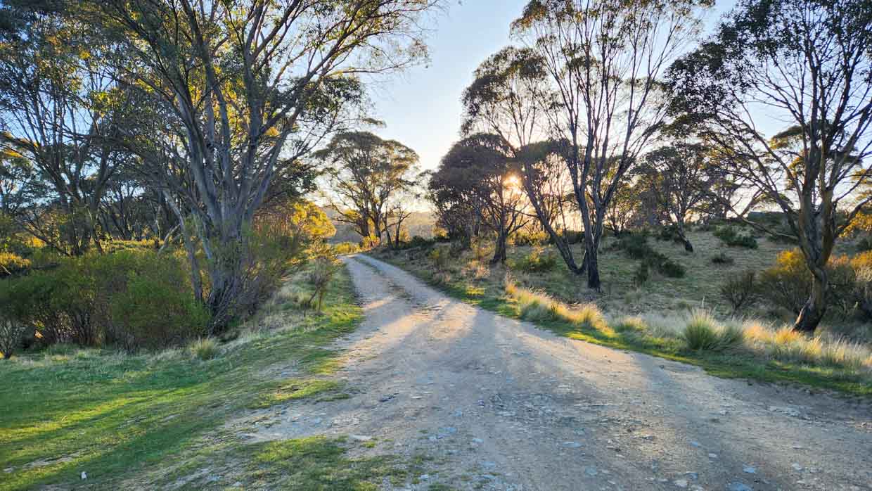 Nissan X-Trail LT 2023 SM morning