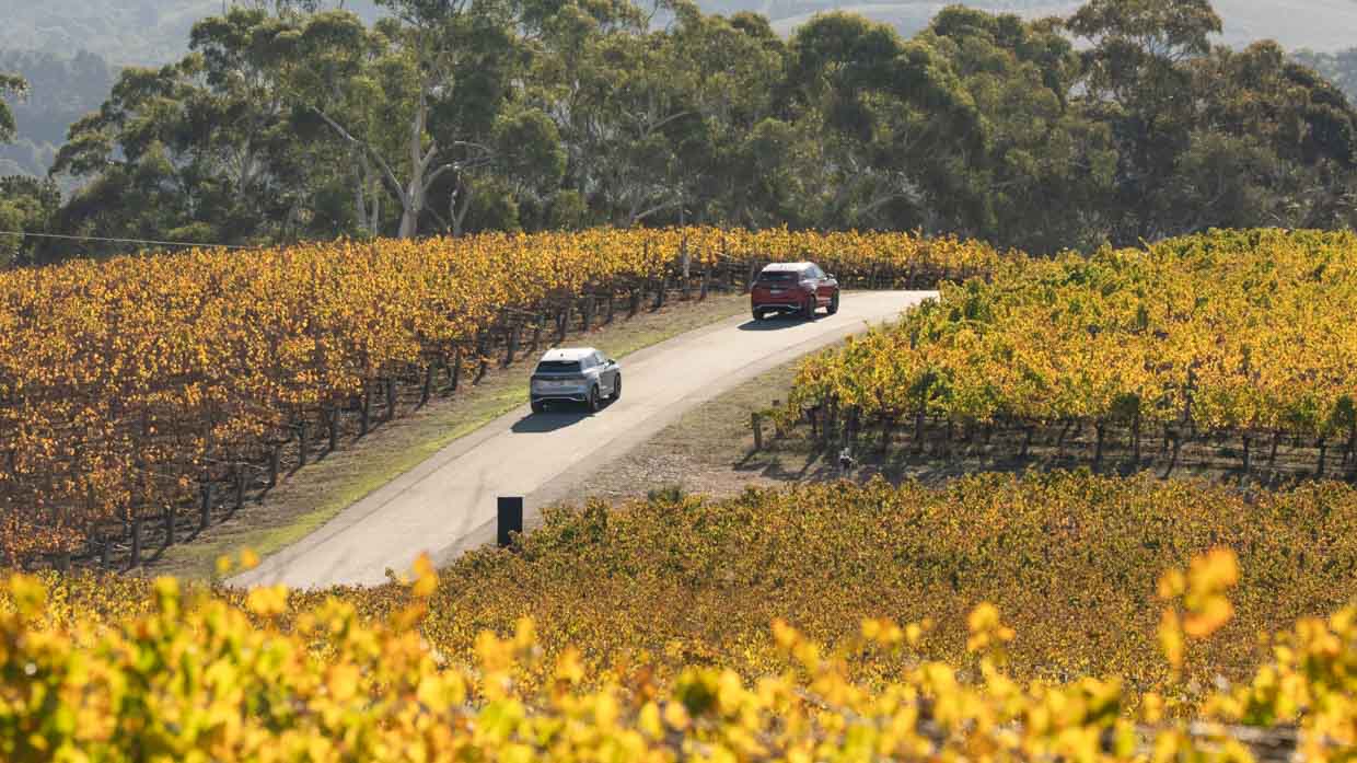 Volkswagen Tiguan 2025 driving