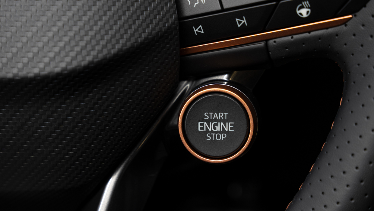 Cupra Terramar S 2025 interior button